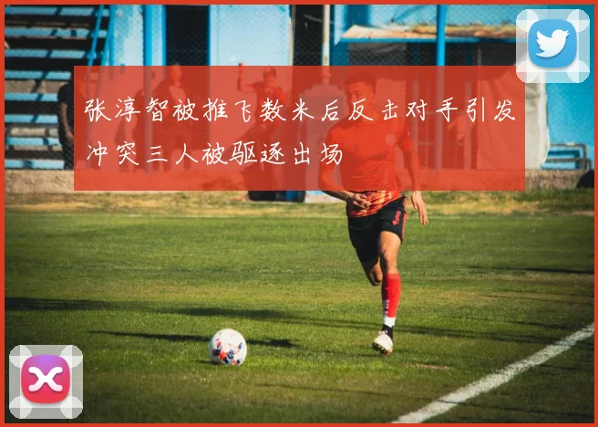 张淳智被推飞数米后反击对手引发冲突三人被驱逐出场